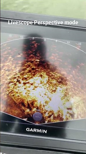Livescope Perspective mode for ShellCracker.