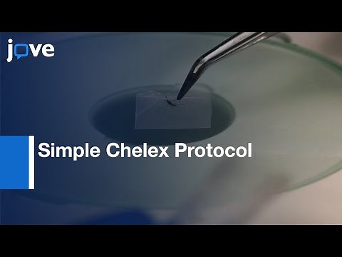 Simple Chelex Protocol: DNA Extraction From Anopheles spp. l Protocol Preview