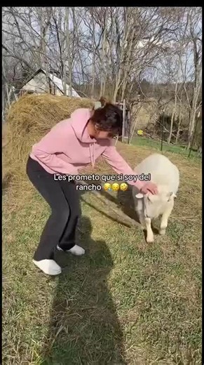 Woman Runs After Leaving Goat, but Goat Chases and Catches Her