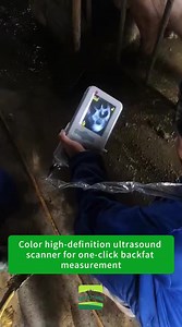 Goat Ultrasound  Scanner Sheep Pregnancy Sow Tester Portable Sonar Scanner Animal Sonar  USG Livestock Farm