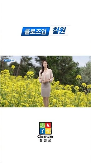 [Close-up Cheorwon] Goseokjeong Spring Flower Field Opens #Cheorwon #CheorwonTravel #FlowerField ...