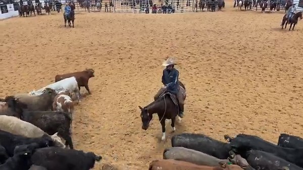What a great start to the National Reined Cow Horse AssociationWorlds Greatest Horseman Herd Work go-round! Jesse Lennox leads the way with a massive 228 aboard Metallic Curveball owned by Rocking P Ranch. Click here to watch Jesse working horses at home: https://chtolive.com/?s=Jesse Lennox&post_type=video | Reined Cow Horse Training