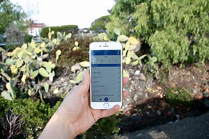 MyFitnessPal Tutorial: Custom Food