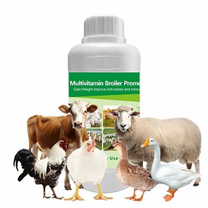 [Hot Item] Vitamin Chick Boost Oral Solution Broiler Premix Feed for Meat Chicken Poultry Feed Plus Additives Multivitamin Supplement