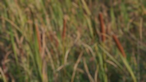 We’re working alongside local communities to offer tech education and AI training to help prepare people for in-demand jobs. | Microsoft