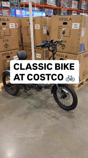 Costco's Vesla Foldable E-Trike: 750W Powerhouse