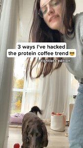 8.3K views · 20 reactions | Start Your Day with Javvy's Protein...