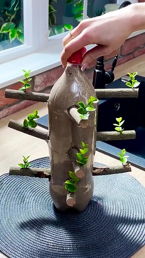 Tiny Tree, Big Impact: DIY Bottle Planting Secrets Revealed!🌳 | 5-Minute Recycle