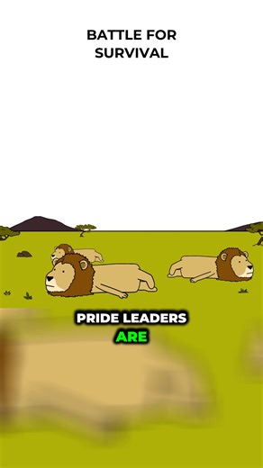 Witness a fierce battle for dominance as rival males challenge the pride, leading to life-altering changes. #Wildlife #Survival #LionPride#Fyp#Clips#Viral#Show#movies#nature#Wild