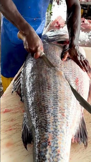 Fishmonger Filleting Giant Nile Perch 🐟 | Incredible Fish Cutting Skills