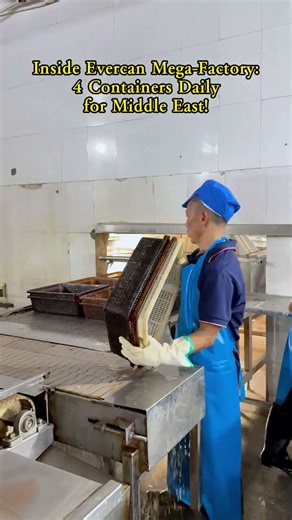High-Speed Production! 🚀 4 Containers/Day Canned Sardines in Vegetable Oil for Middle East! #evercan