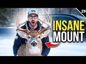 2025 Buck | The Full Mount is INSANE