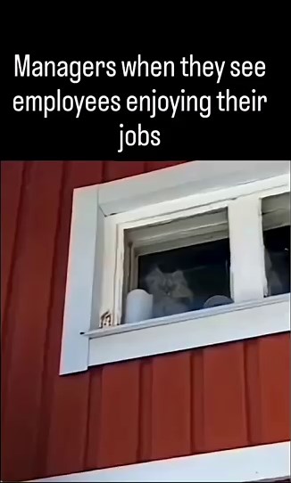 POV: When Managers Realize Employees Are Gasp Actually Happy 😼