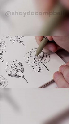 How to Draw a Peony Flower