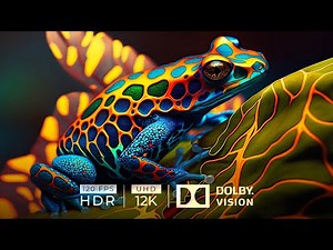 12K HDR 120fps Dolby Vision with Calming Sounds (Animal Kingdom)