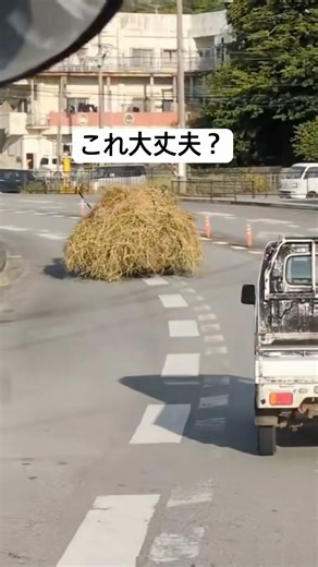 The Tatari God was running through Okinawa