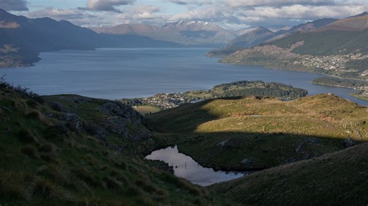 To save its unique and rare birds, New Zealand is turning to AI and genetic research