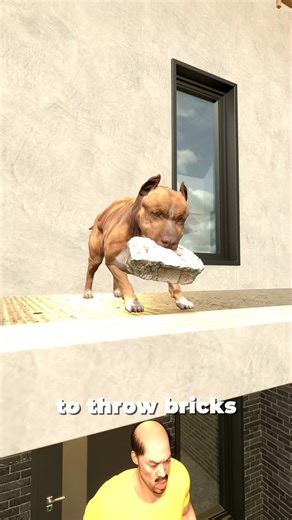 726K views · 14K reactions | He Trained His Dog to Throw Bricks at Visitors 隣 | Kube Films | Facebook