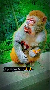 2.7M views · 492K reactions | Ten Unknown Facts About #BMW 1....