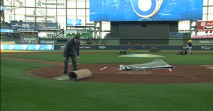 American Family Field might have the best grass in Wisconsin