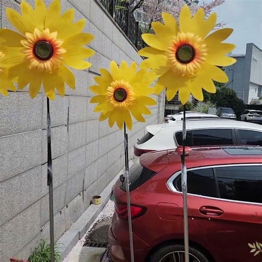 #"해바라기 꽃 묘종과 거름을 또 주면서 쑥쑥 잘 자라기를ᆢ. 해바라기 꽃 🌻 씨를 심으니 해바라기 꽃이 자라더라!~" 해바라기 관찰일기. #서양화가김애경 #해운대화실 #해바라기