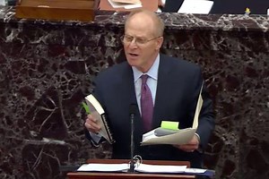 Who is David Schoen's wife?