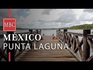 Walking in Punta Laguna - Quintana Roo - Mexico [4K]