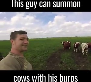 4.4M views · 16K shares | This guy f*cking loves burping at cows  (tap for ) | UNILAD | Facebook