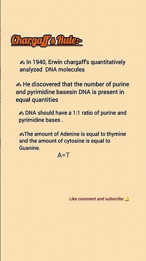 Chargaff's Rule|Chargaff's Rule biochemistry | Chargaff's Rule of DNA #medlab #dna