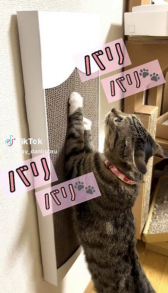 猫と飼い主がハッピーになる爪とぎの作り方