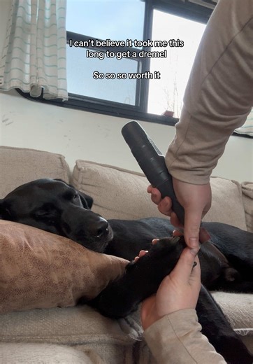 Using a Dremel for Nail Care: My Experience