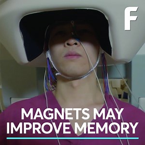 65K views · 283 shares | Magnets may improve your memory | Futurism | Facebook