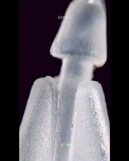 Finally found how to remove tags from clothes. Check @urday_micro on Instagram to learn more #fblifestyle #tutorial #beautiful #illustration #viral | ROL Tailoring