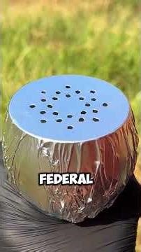 I Let My Wife Win in Court… It Was All a Trap