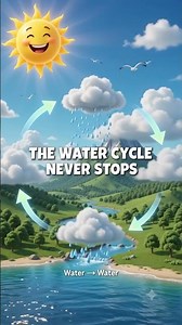Where Does Rain Come From? | The Water Cycle Explained