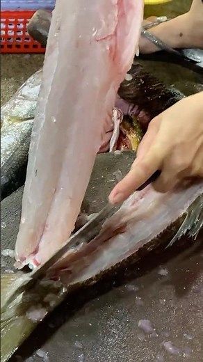 Barracuda Fish Cutting and Filleting Skill | Video Shorts | Ep 398
