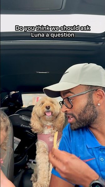Mini Cockapoo Solves Math Question for Fries 😳
