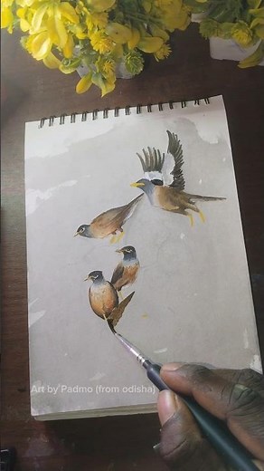 The ‘Birds Aren’t Real’ Conspiracy Explained #short #ytshorts #birds