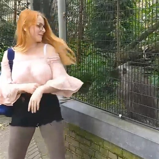 Woman dances with porcupine not knowing it suffers from zoochosis! | MetDaan Tips