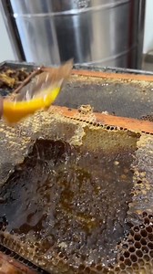 Checking honey is easy—just a few quick tests you can do at home: 1. Water test – Fill a glass with cold water. Drop a spoonful of honey. Pure honey sinks straight to the bottom and stays together; fake or watered‑down honey will spread out and dissolve. 2. Flame test– Light a match or a cotton swab, dip it in honey, then try to light it. Real honey burns easily and caramelizes; imitation honey sputters or won’t catch fire. 3. Taste & texture – Pure honey is smooth, a little thick, and the flavo