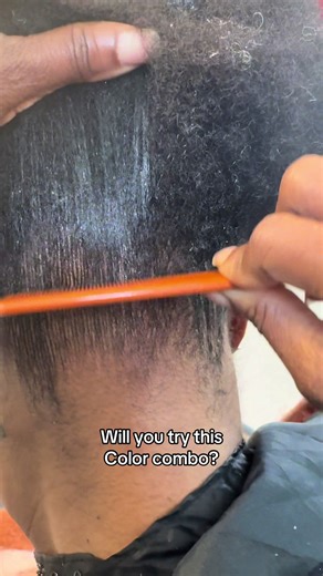 Love this box braids color combo