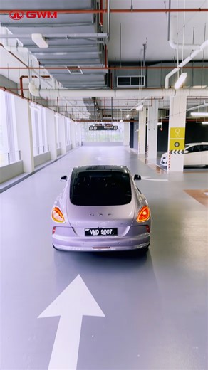 397K views · 46 reactions | Drive with enthusiasm with the GWM ORA...