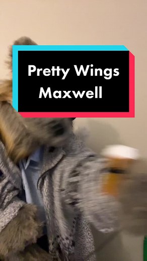 Maxwell: The Rise of a Neo-Soul Icon