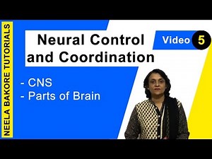 Neural Control and Coordination | NEET | CNS - Parts of Brain | Neela Bakore Tutorials