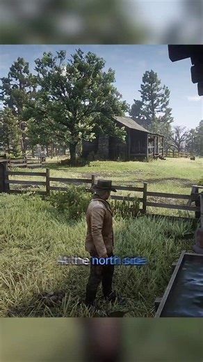 DarkViperAU | Weird Movement Bug In RDR 2 #rdr2 #rdr #reddead | Instagram