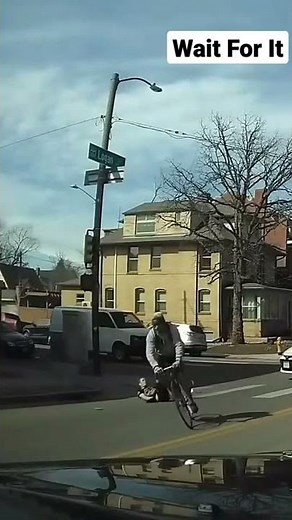 Be very careful when crossing the street #zibra #crossing #asmr #street #2022