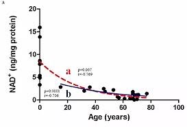 NAD+ THERAPY - Parkinson's Institute of Sarasota