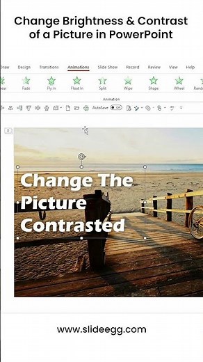 Change Brightness & Contrast of a Picture in PowerPoint #slideegg