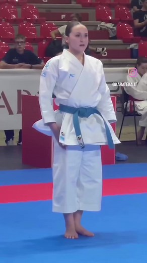 Karate Competition Insights: Preparing for a Tournament