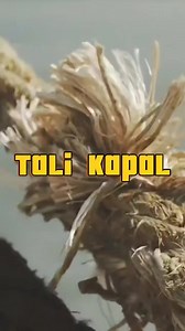 Proses Pembuatan Tali Kapal #manila #abaka #tali #kapal #reels | Kamus Ai